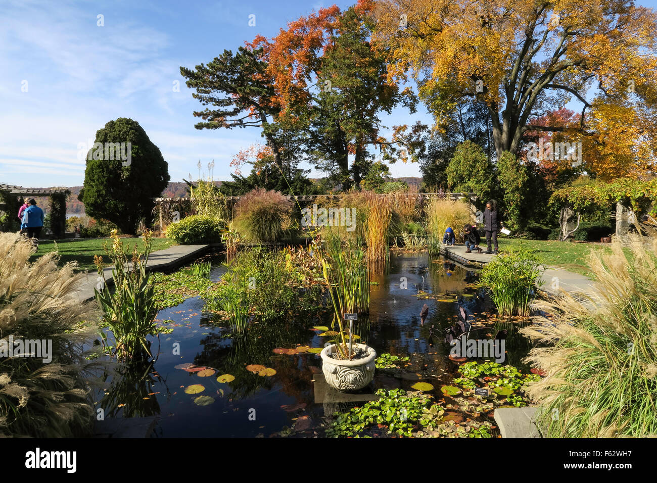 Aquatic Garden at Wave Hill Public Garden in The Bronx, NYC, USA Stock Photo