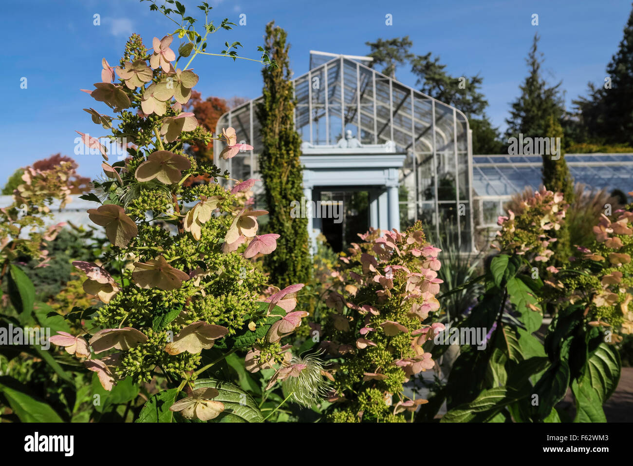 Marco Polo Stufano Conservatory At Wave Hill Public Garden In The