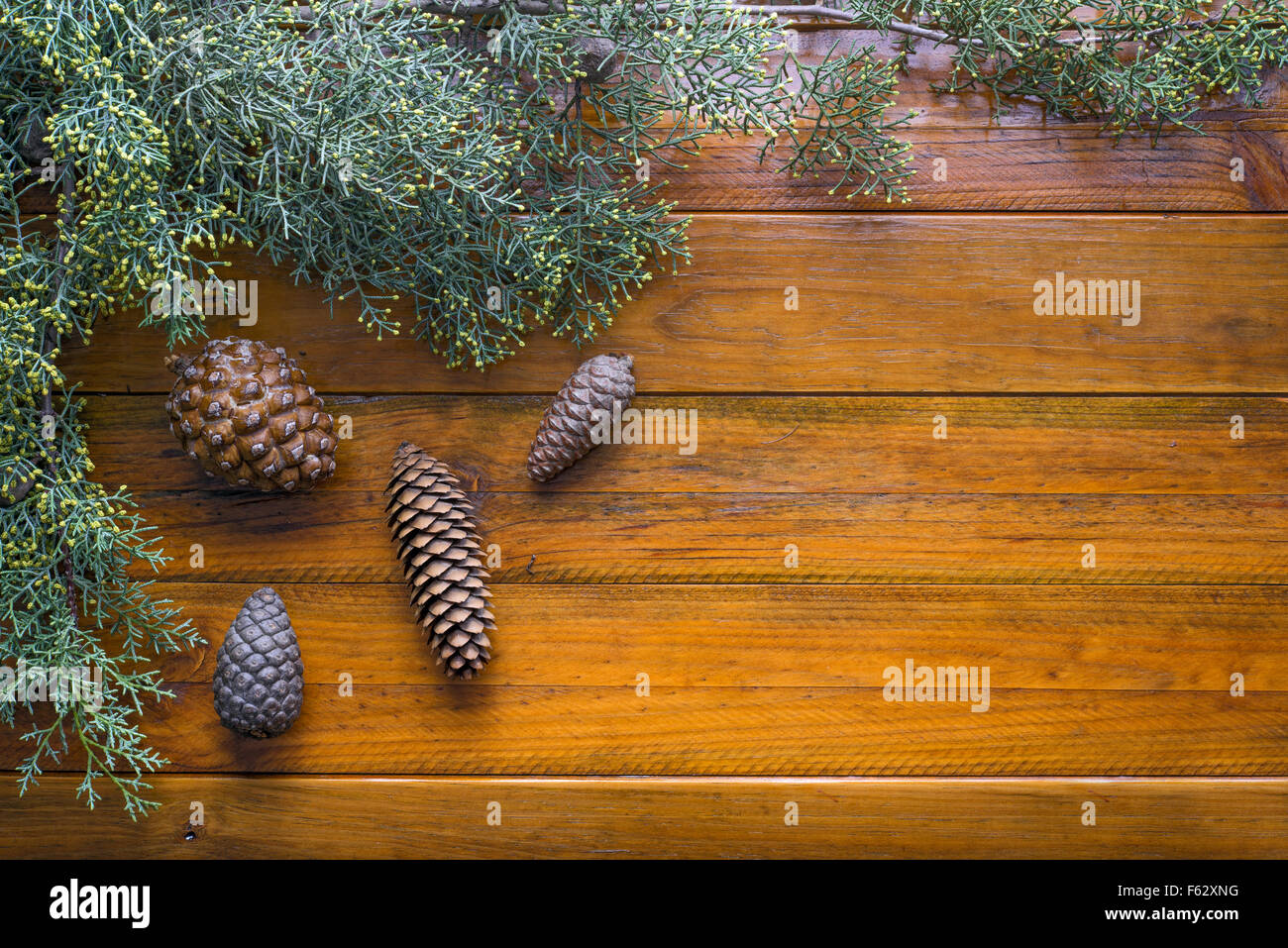 Christmas background framed with branches on wood: Copy space Stock Photo