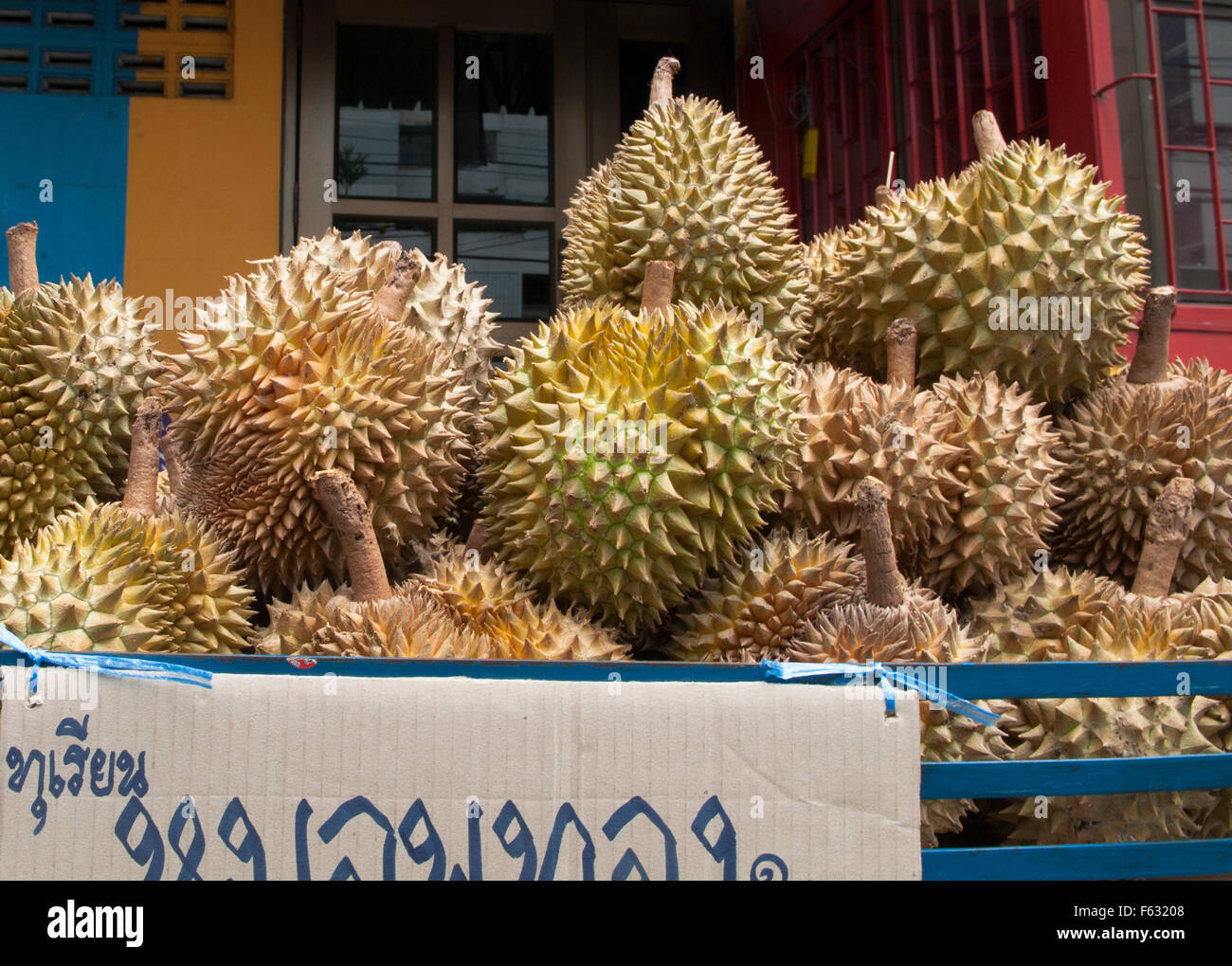 Durian Display Rack Durian durio kutejensis hi-res stock photography and images - Alamy