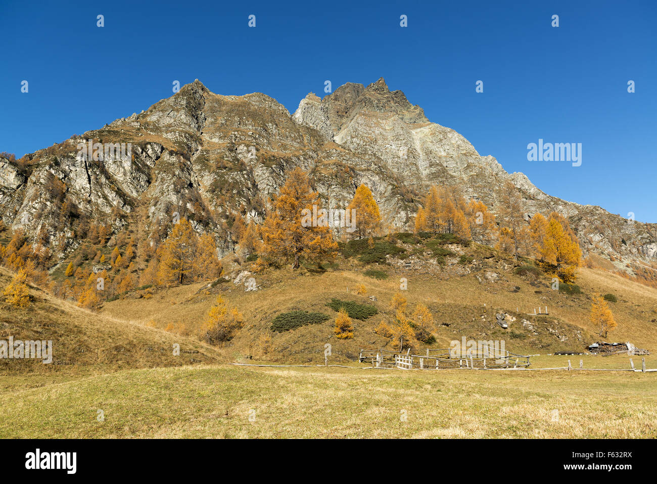 Autumn colors at the Devero Alp in a beautiful afternoon near the village of Crampiolo, Piedmont - Italy Stock Photo