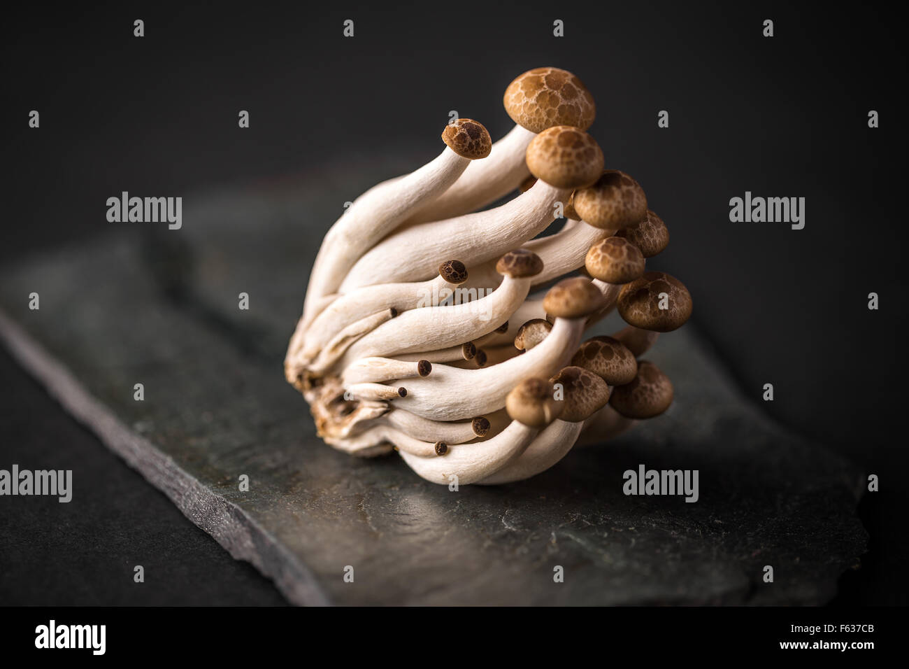 Fresh shimeji mushrooms on black slate background Stock Photo