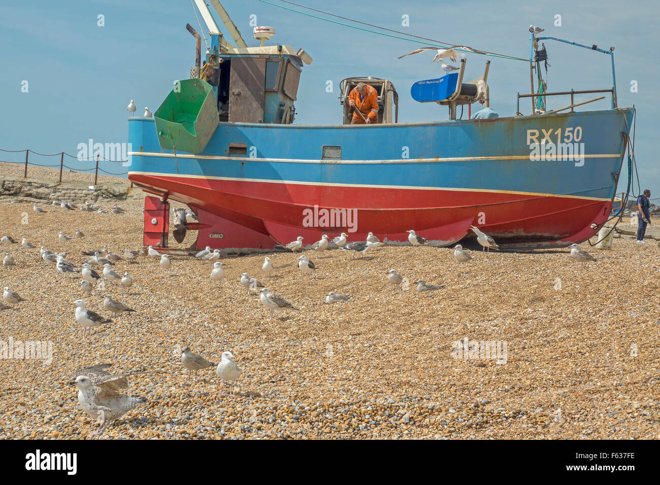Fishing Boats and Birds  On The Beach Hastings UK Stock Photo