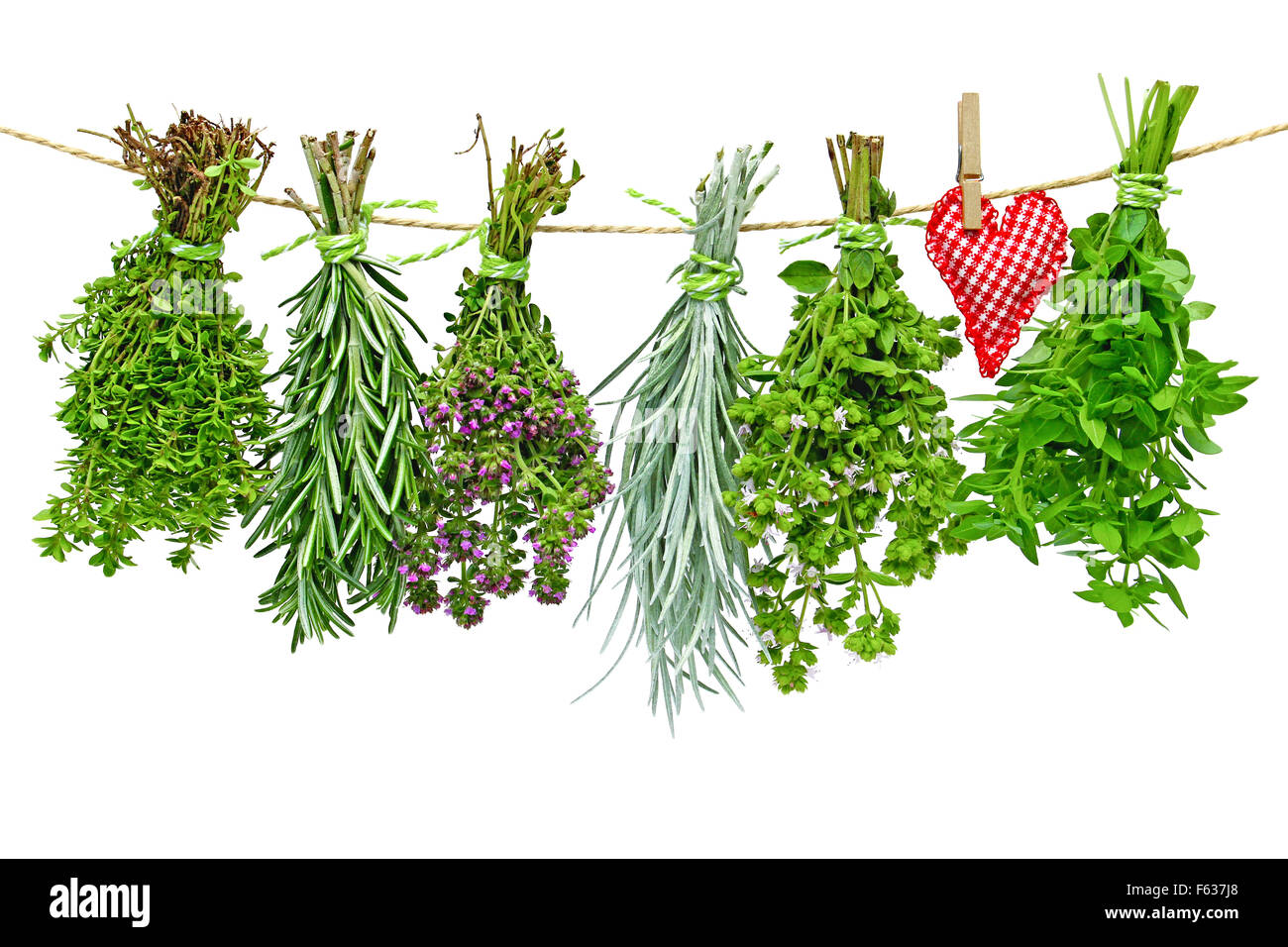 different fresh herbs hang in bundle on a leash Stock Photo Alamy