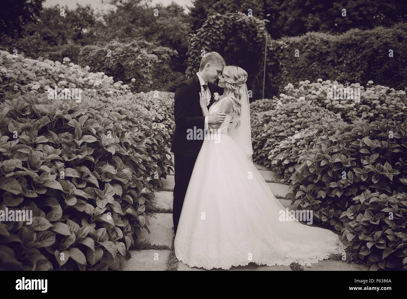 Cute blonde wedding hi-res stock photography and images - Alamy