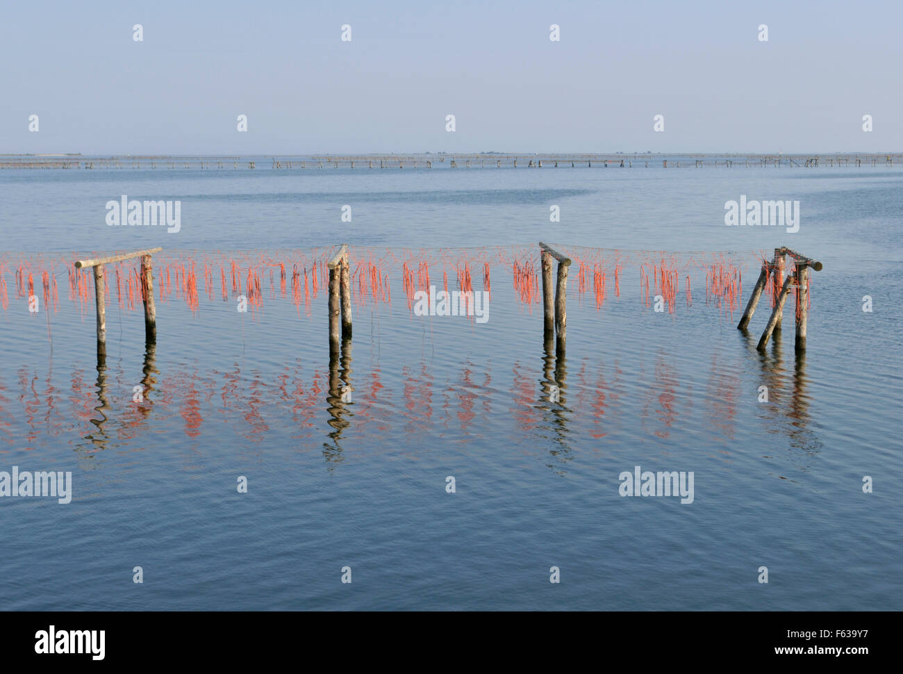 Po river estuary hi-res stock photography and images - Alamy