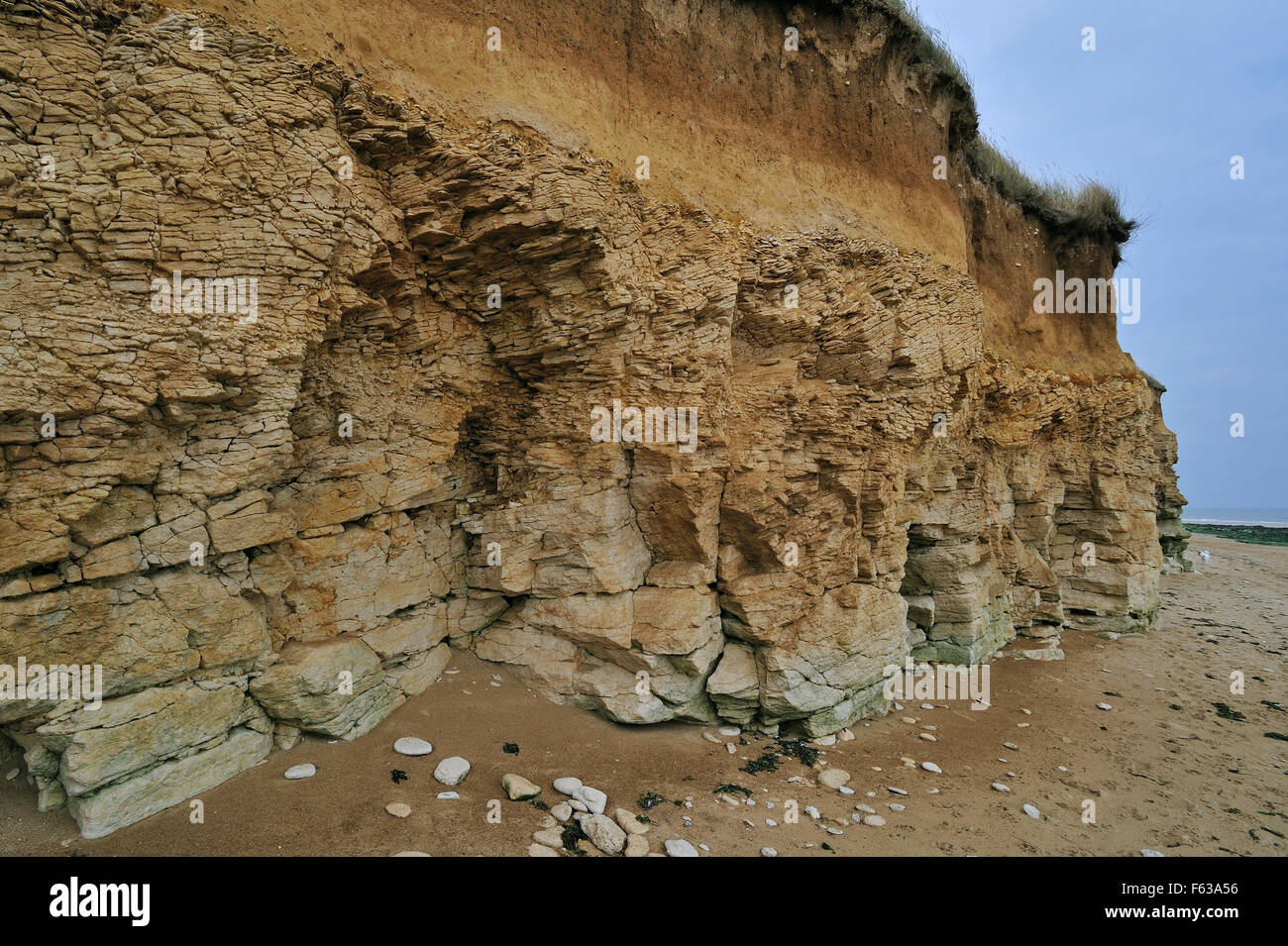 Fossilized sponge reef near Lion-sur-Mer, Normandy, France Stock Photo