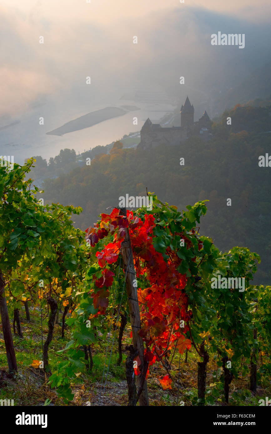 Autumn dawn in Rhine valley, Germany Stock Photo