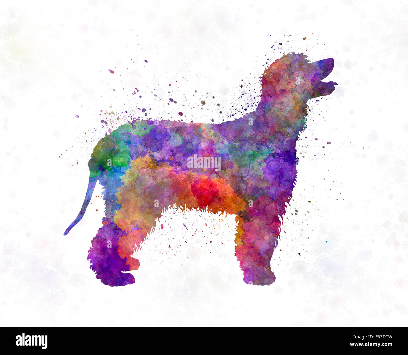 Irish watercolor hi-res stock photography and images - Alamy