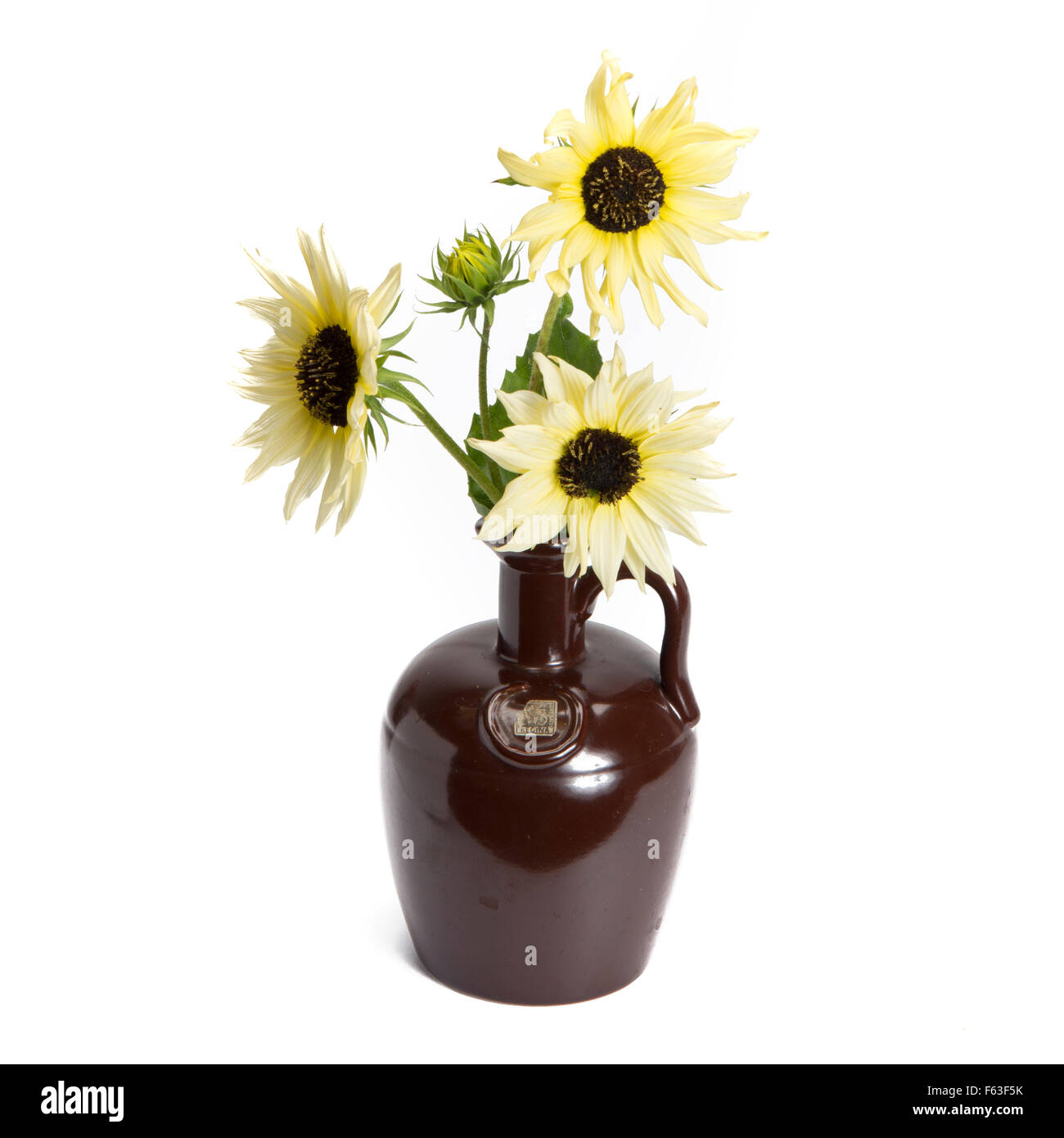Sunflower in vintage vase isolated on white background Stock Photo - Alamy