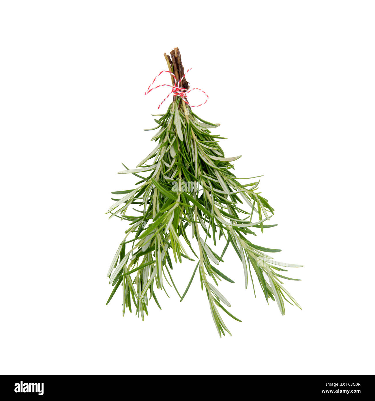 Rosemary bouquet isolated on white background Stock Photo Alamy