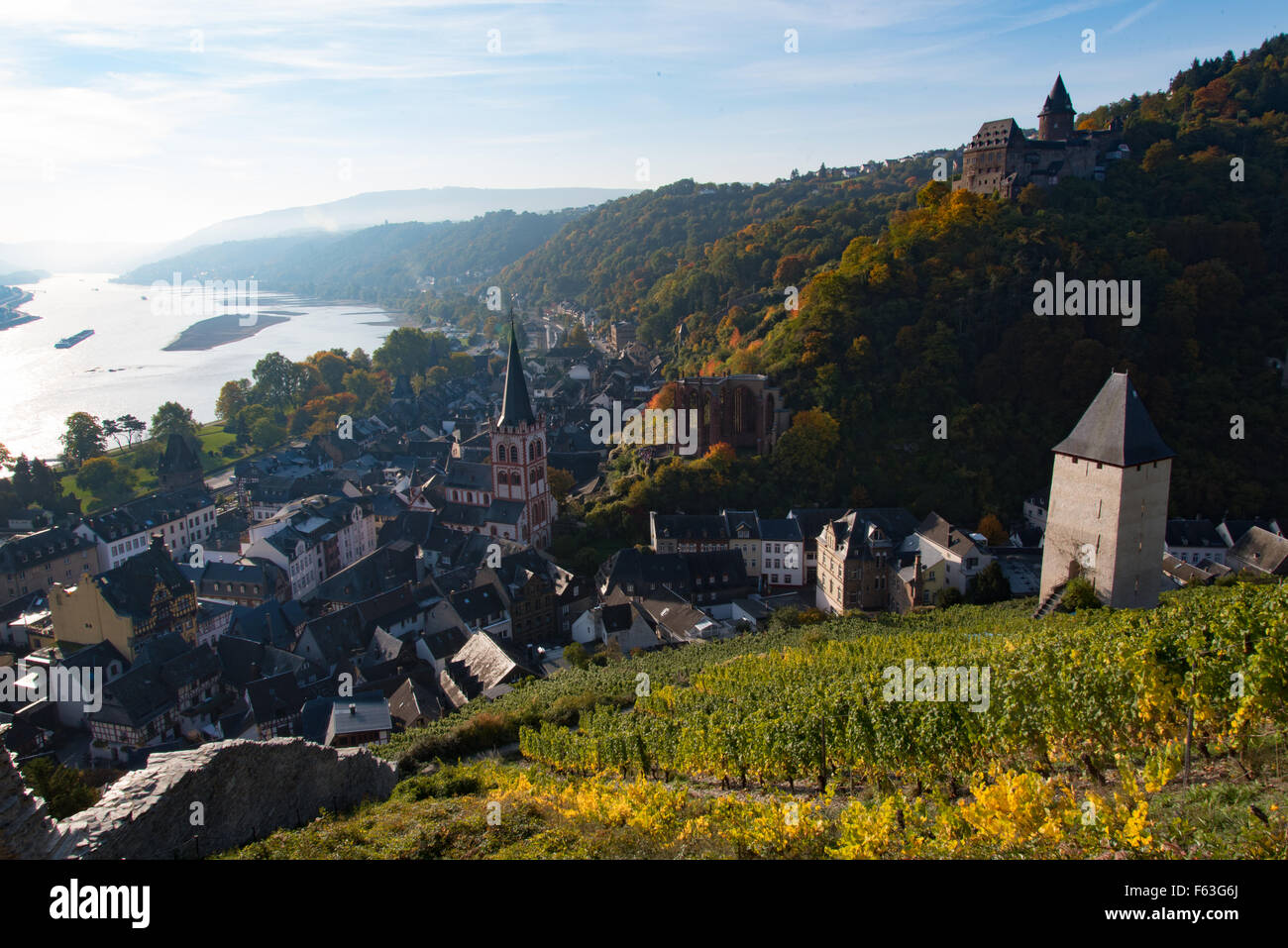 Rhine Valley at Bacharach, Burg Stahleck castle, vineyards Stock Photo