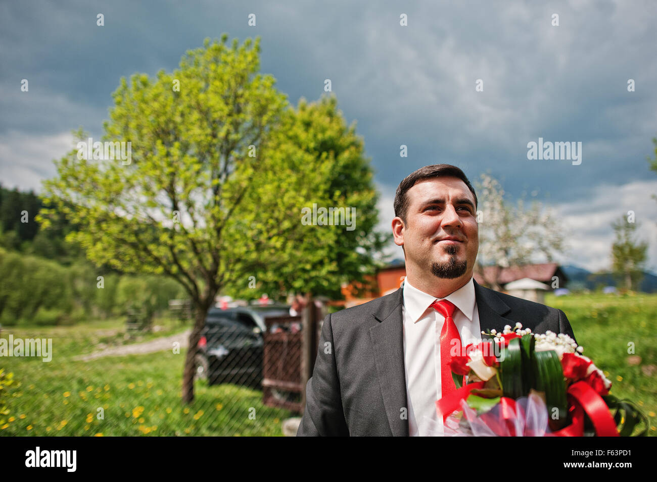 groom on the background of the cloudy sky Stock Photo - Alamy