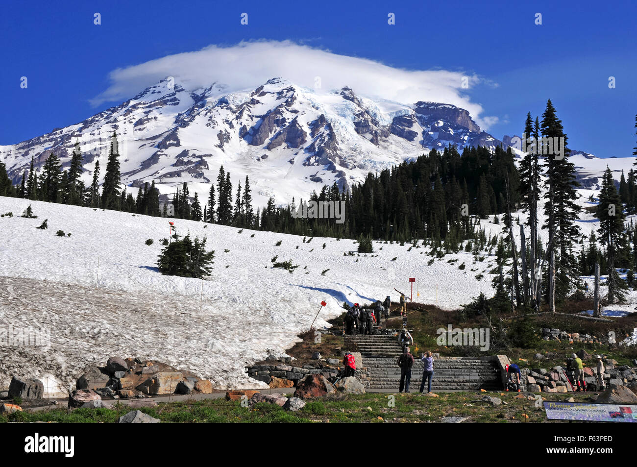 While considered a dangerous volcano on the Ring of Fire, Mount Rainier