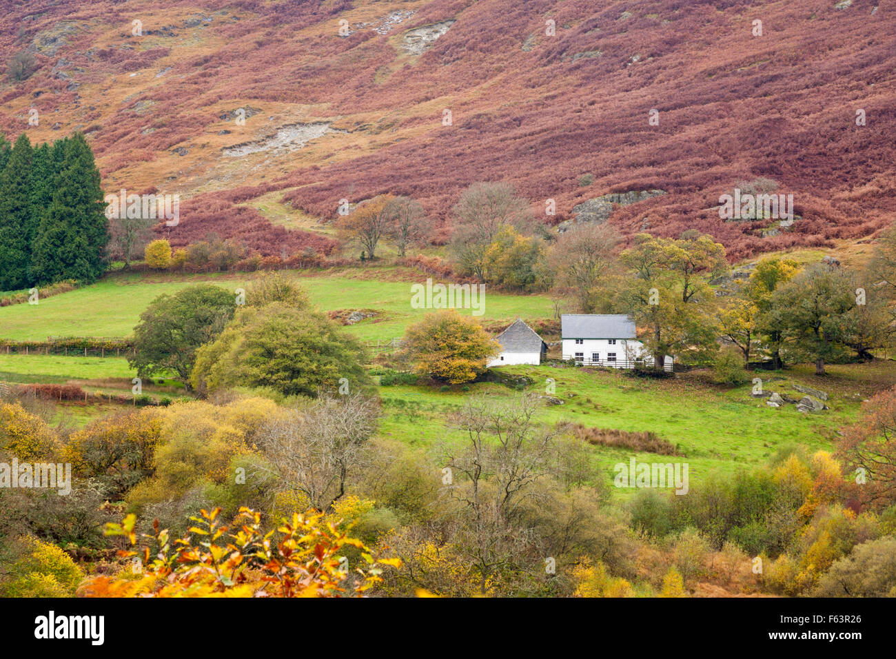 Remote cottage near Garreg Ddu Reservoir, Mid Wales, UK in Autumn Stock Photo