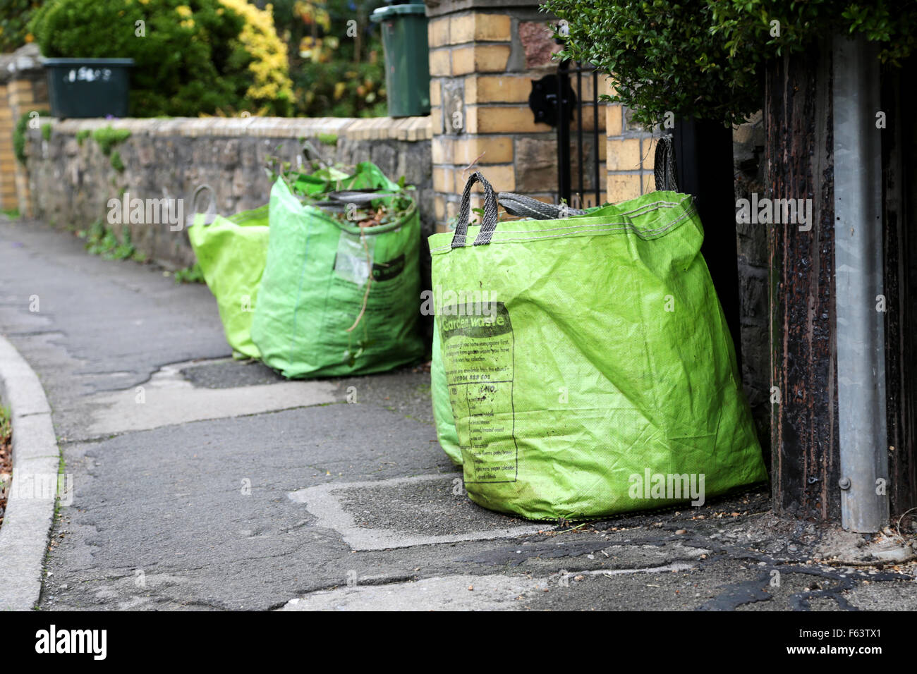 Green waste recycling bags, on a British street, full with autumn leaves  and left outside on the pavement for collection by the local council Stock  Photo - Alamy