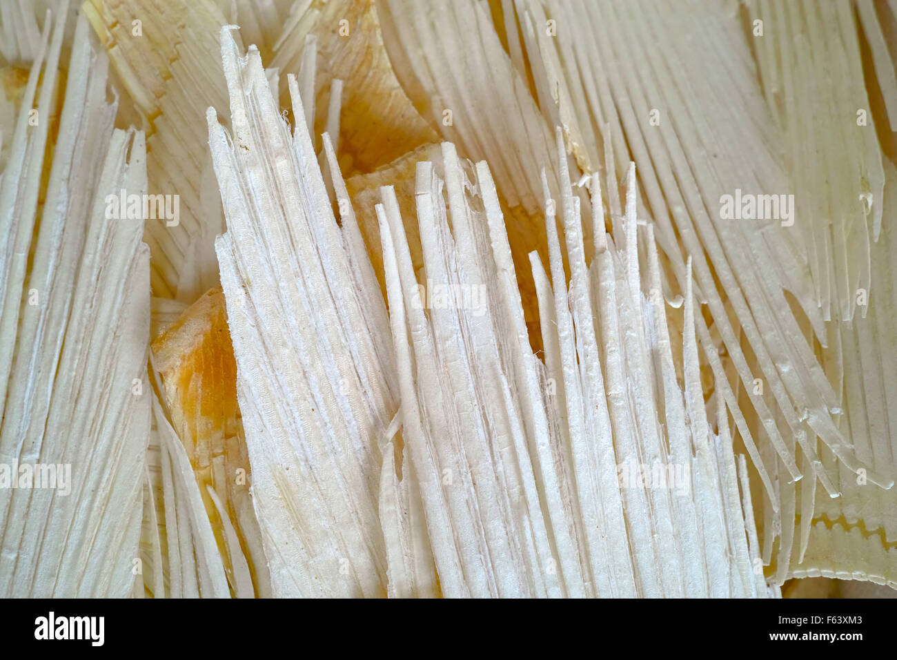 Dried Shark Fin For Sale Ipoh Malaysia Stock Photo Alamy