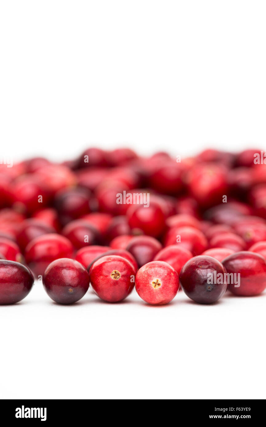 Cranberries on white background Stock Photo