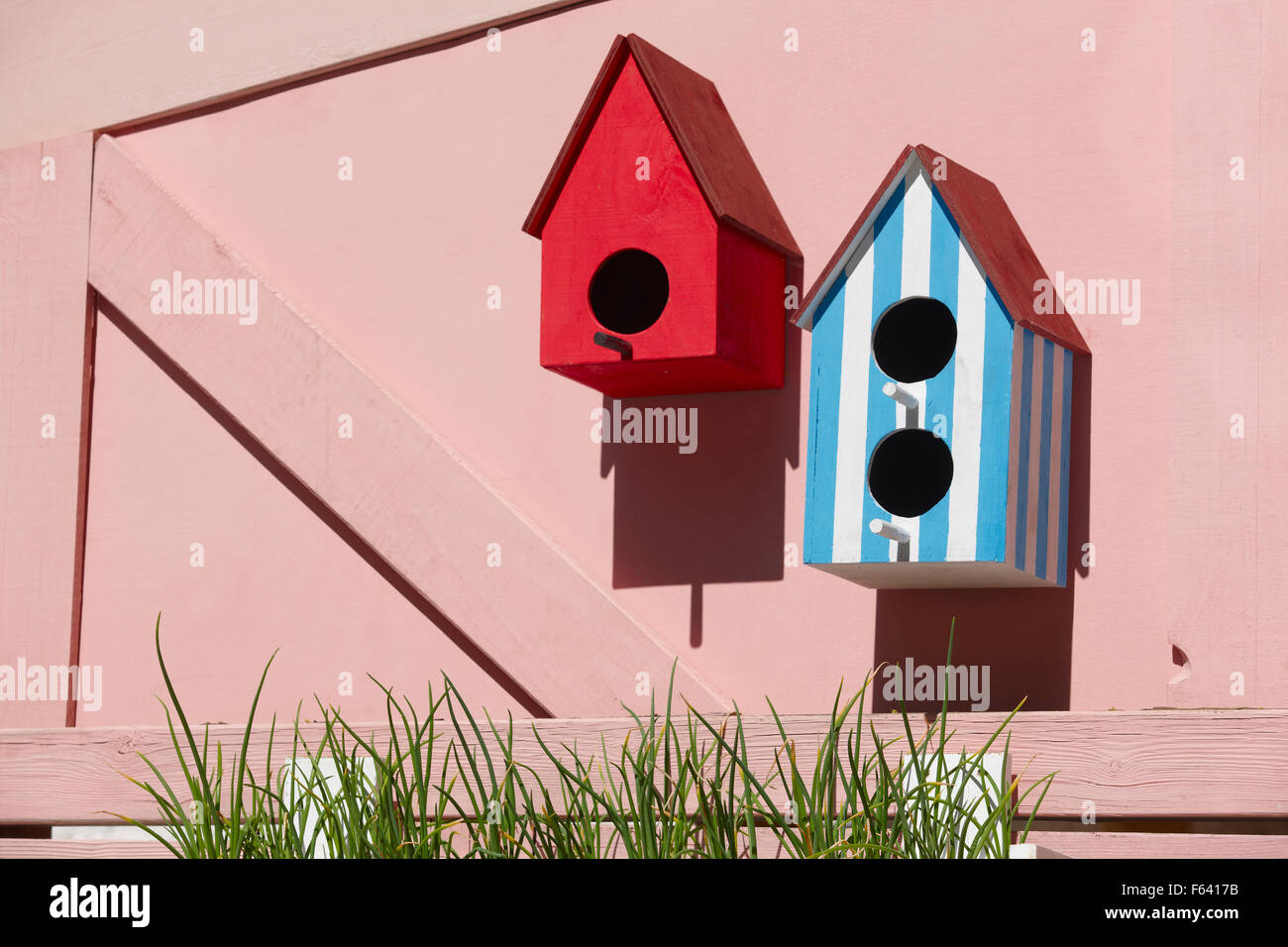 Picture of Man made bird houses on pink background Stock Photo - Alamy
