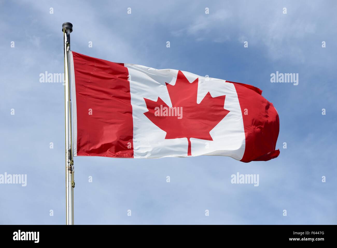 The red and white Canadian maple leaf flag flying on a pole against a blue sky. Stock Photo