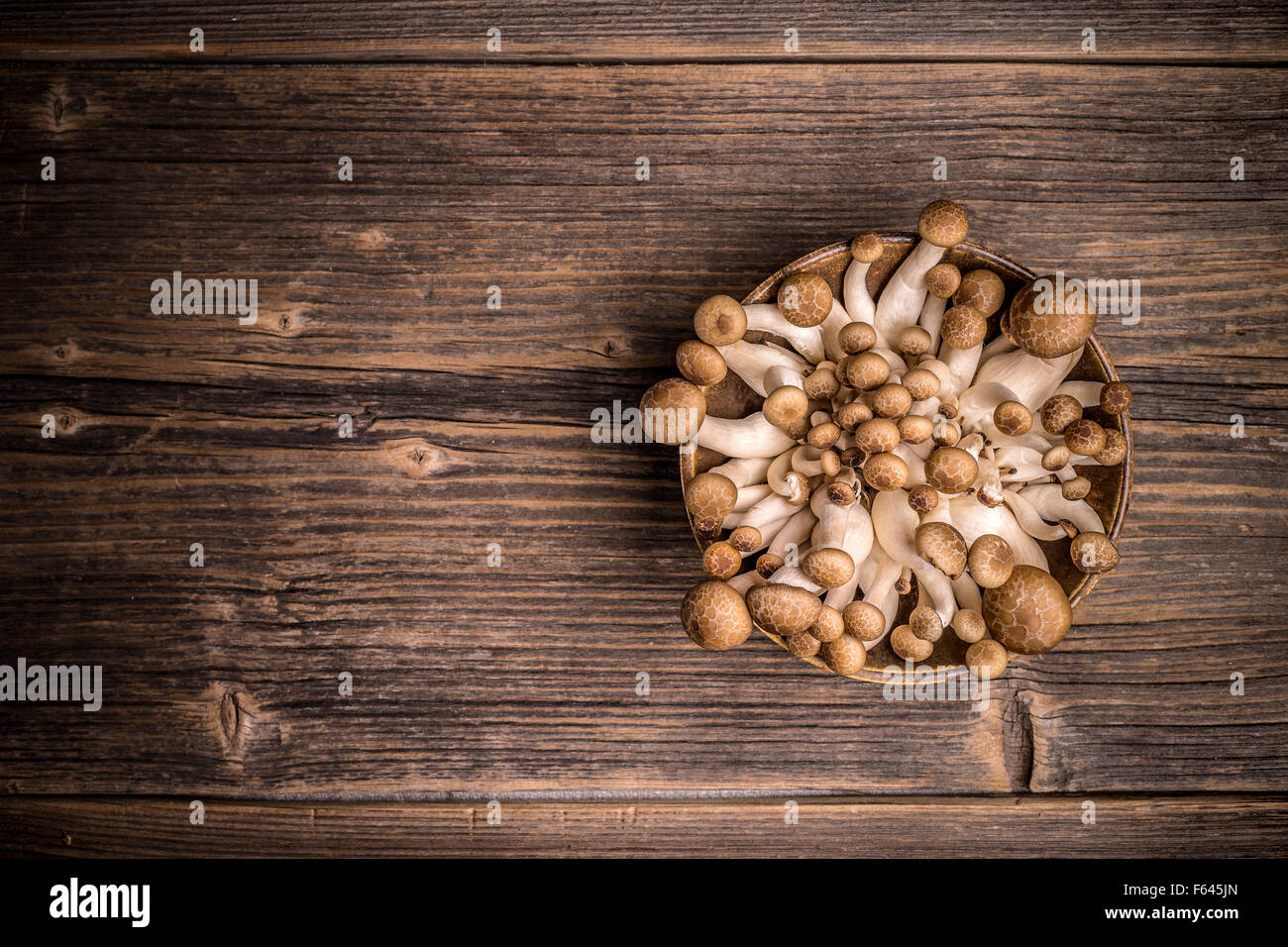 Top view of brown shimeji mushrooms Stock Photo