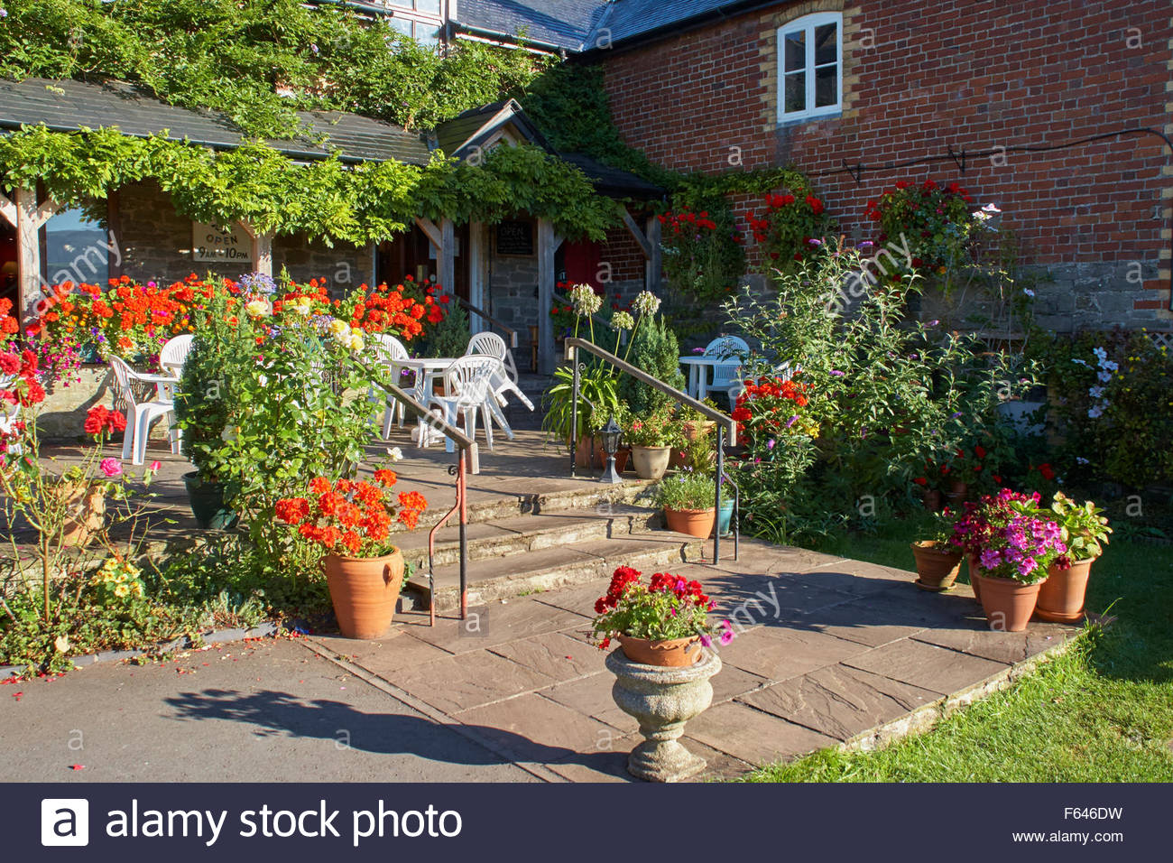 White Tea Pot Honey High Resolution Stock Photography and Images Alamy
