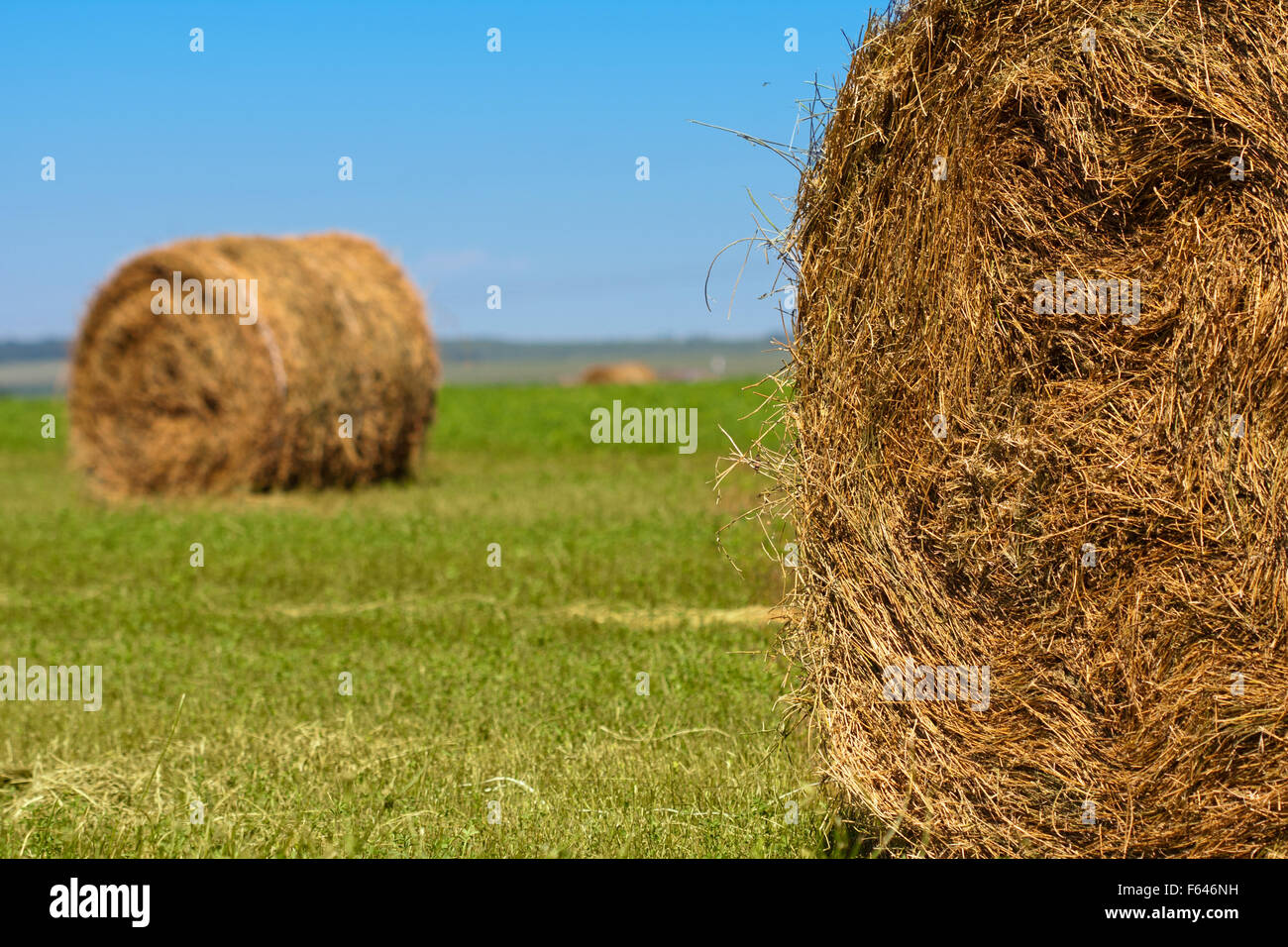 Big bales of straw on a stubble field Stock Photo - Alamy