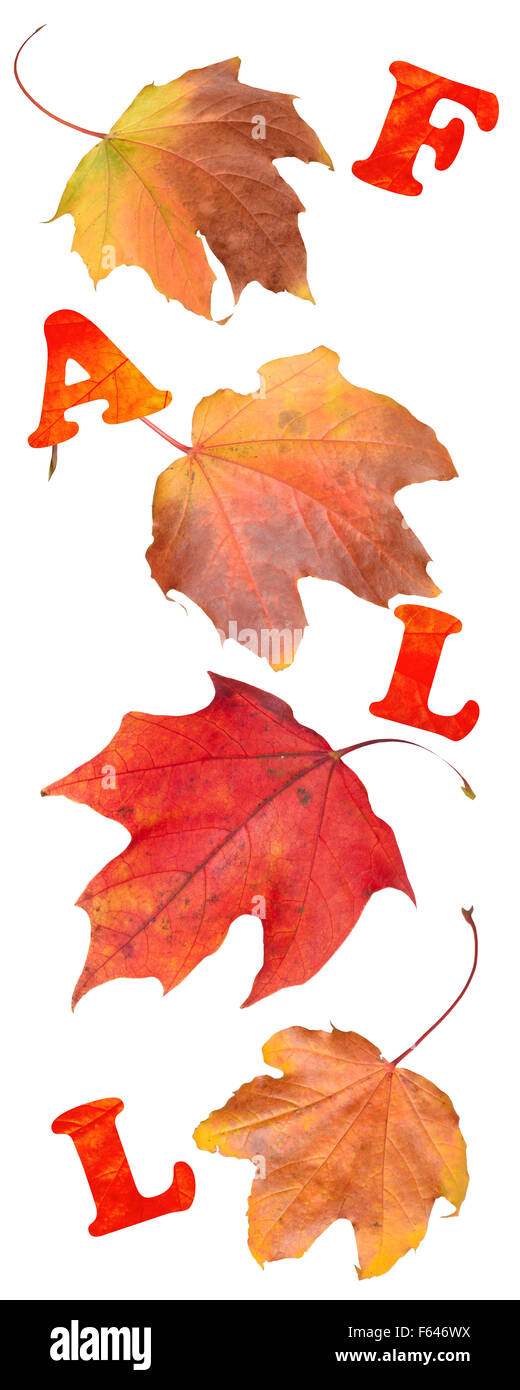 fall word stock photos fall word stock images alamy