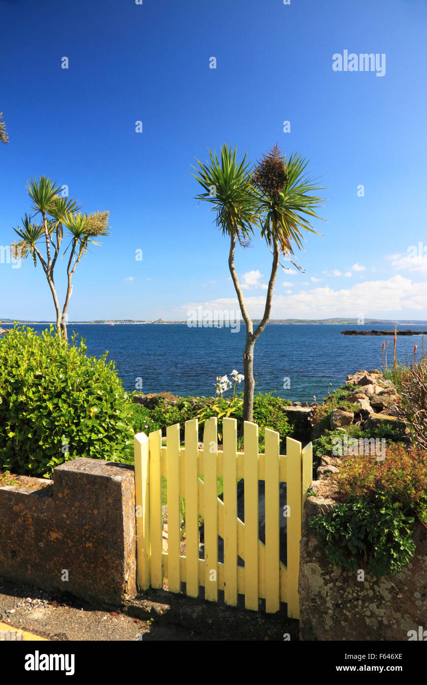 Palm trees grow beside the sea overlooking Mount's Bay at Mousehole, Cornwall. Stock Photo