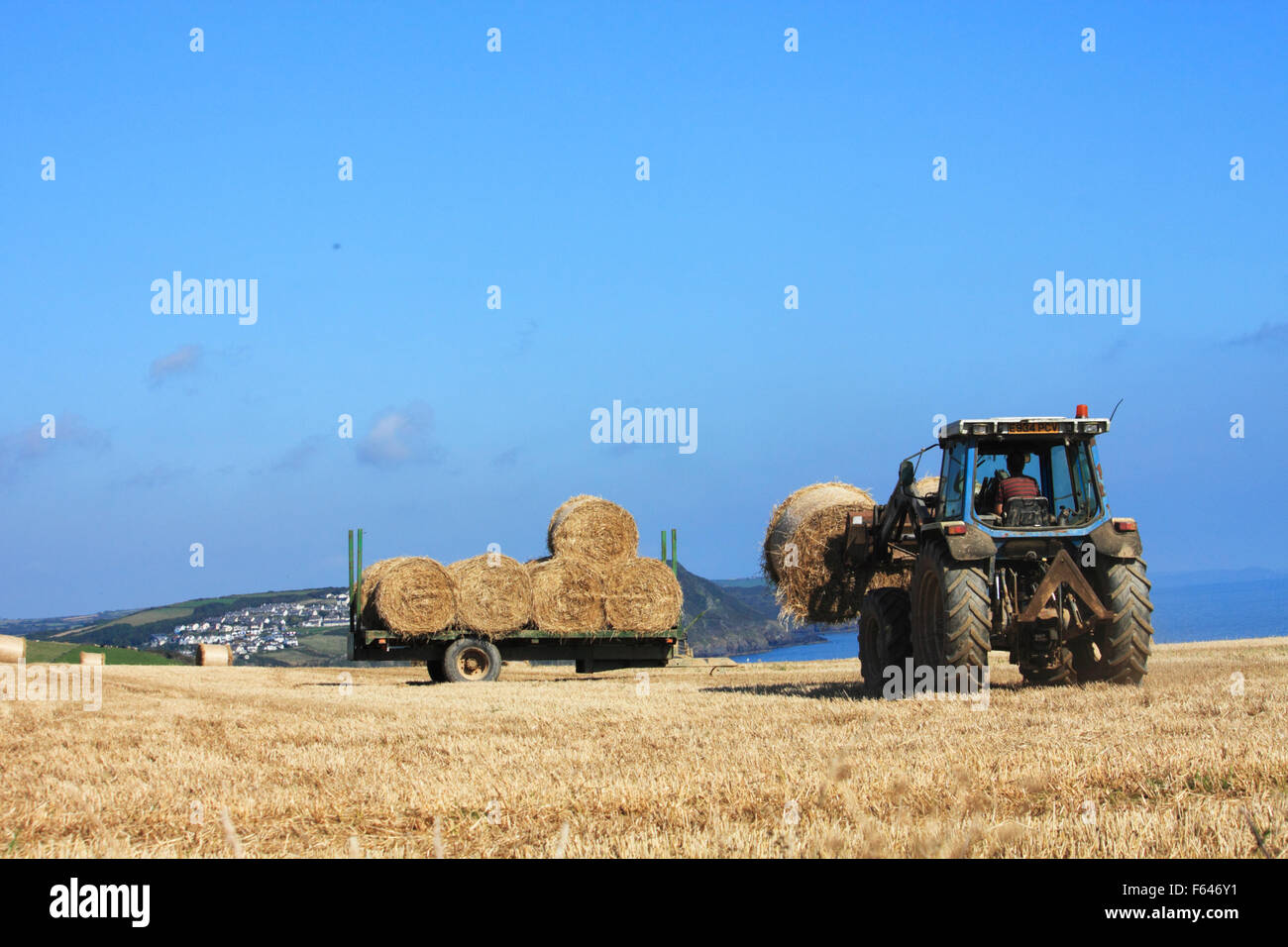Carrying straw bales at Menabilly Barton on the Gribbin, near Fowey