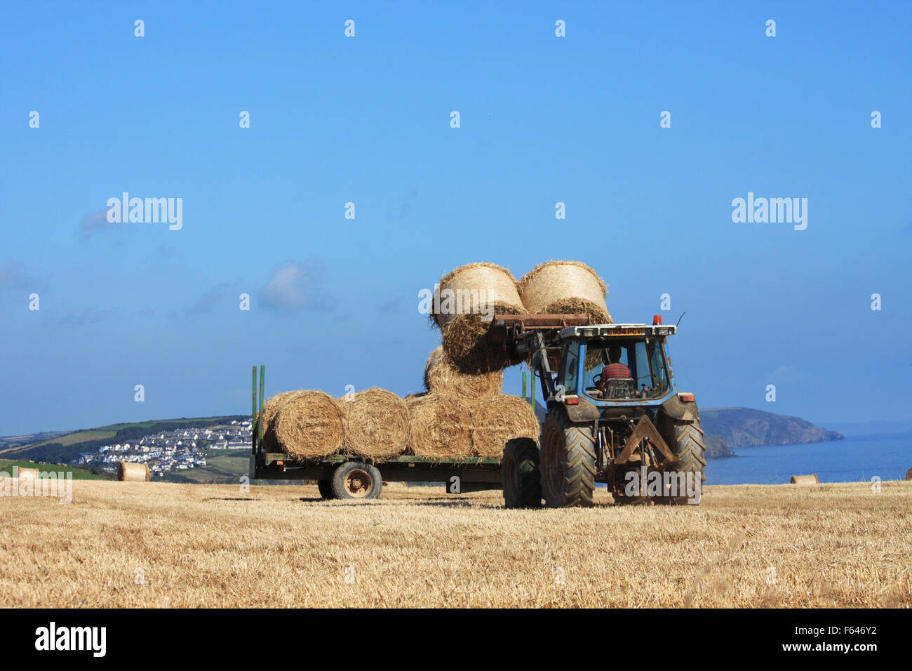 Carrying straw bales at Menabilly Barton on the Gribbin, near Fowey