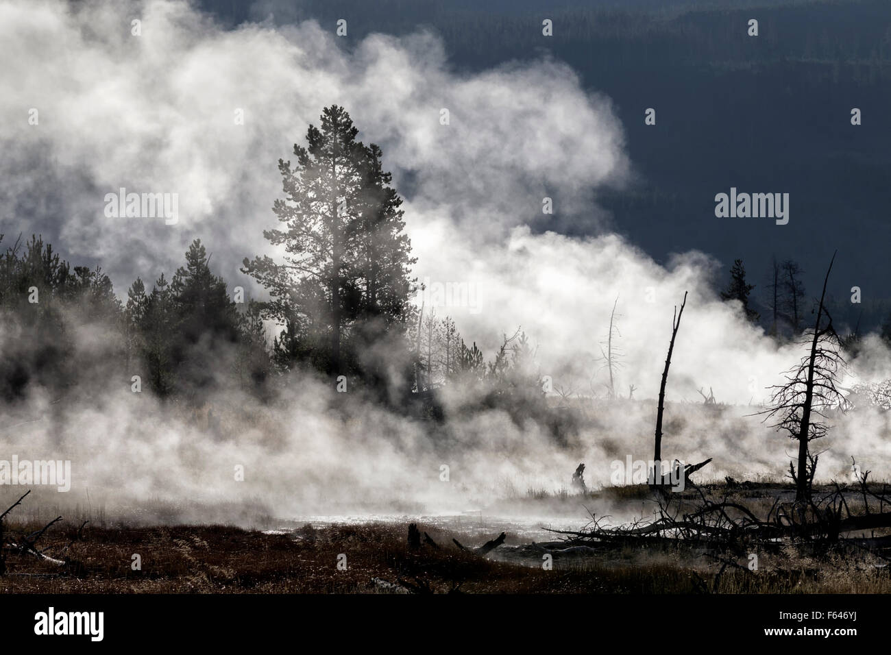 Yellowstone - Morning mists Stock Photo