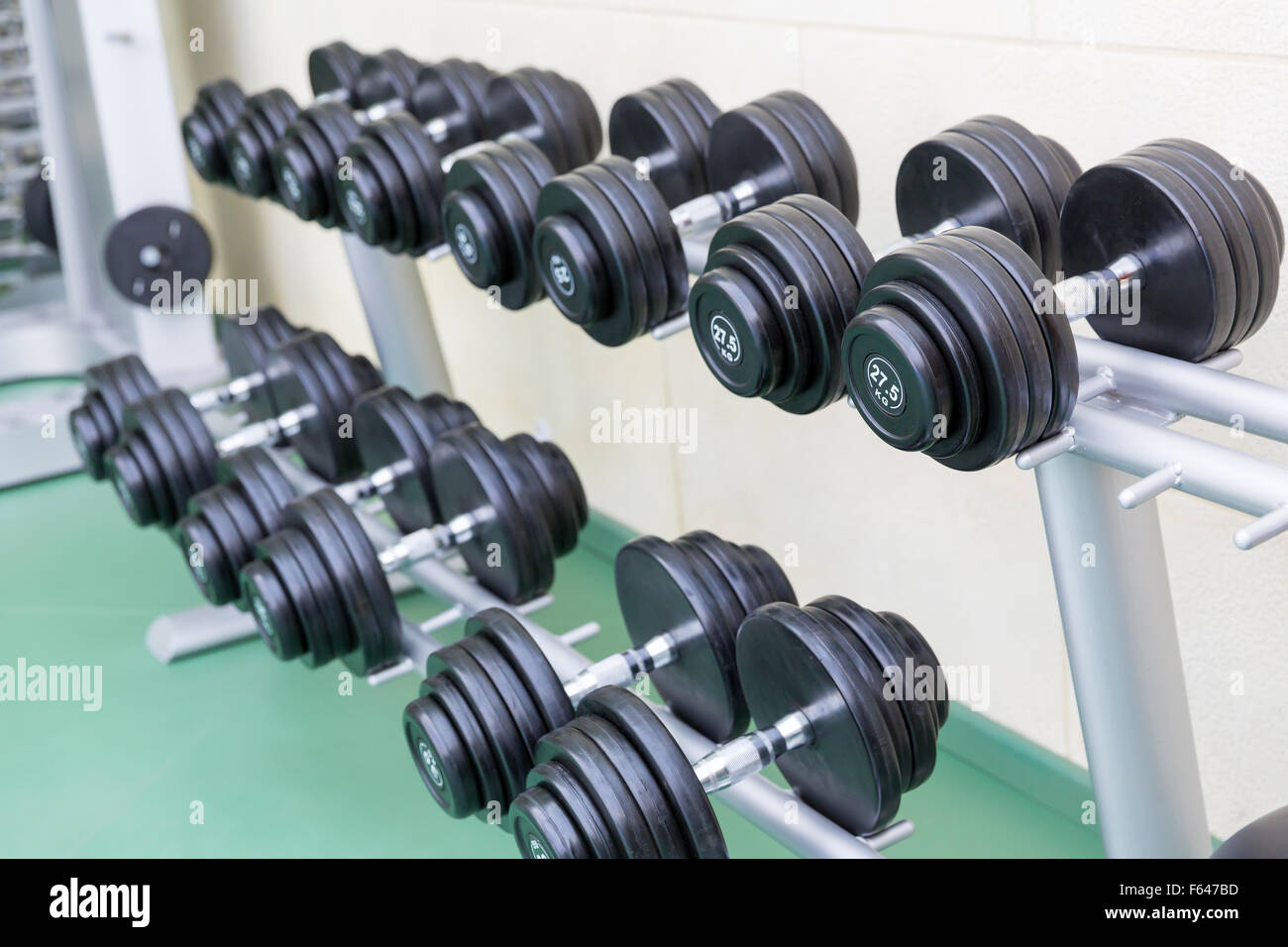 Dumb-bells on the stand in the gym in a row Stock Photo