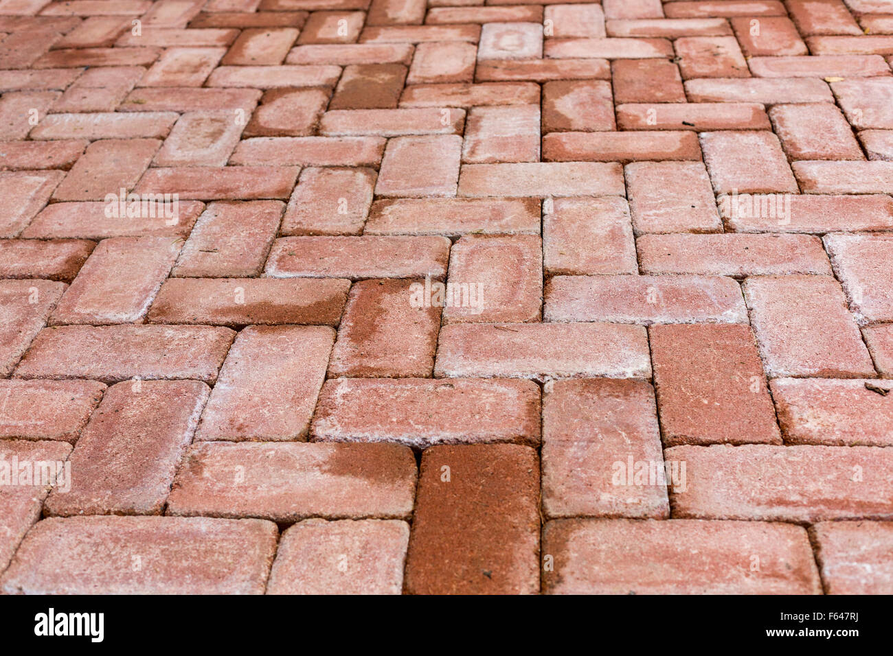 Red brick paving stones on a sidewalk Stock Photo Alamy