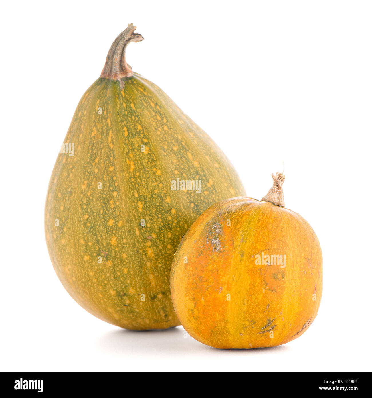 Pumpkins isolated on white background Stock Photo - Alamy