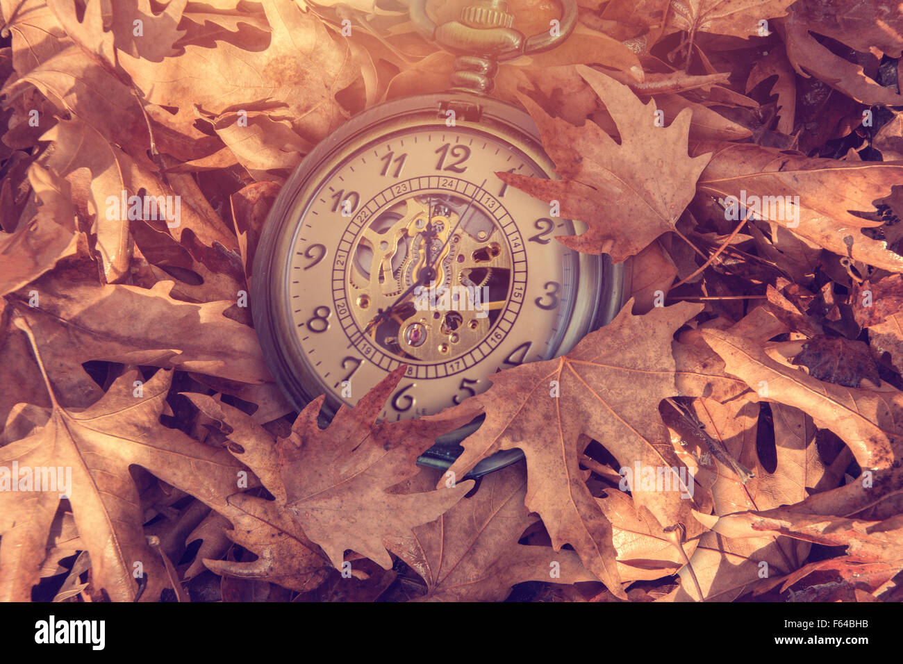Pocket watch on leaves Stock Photo