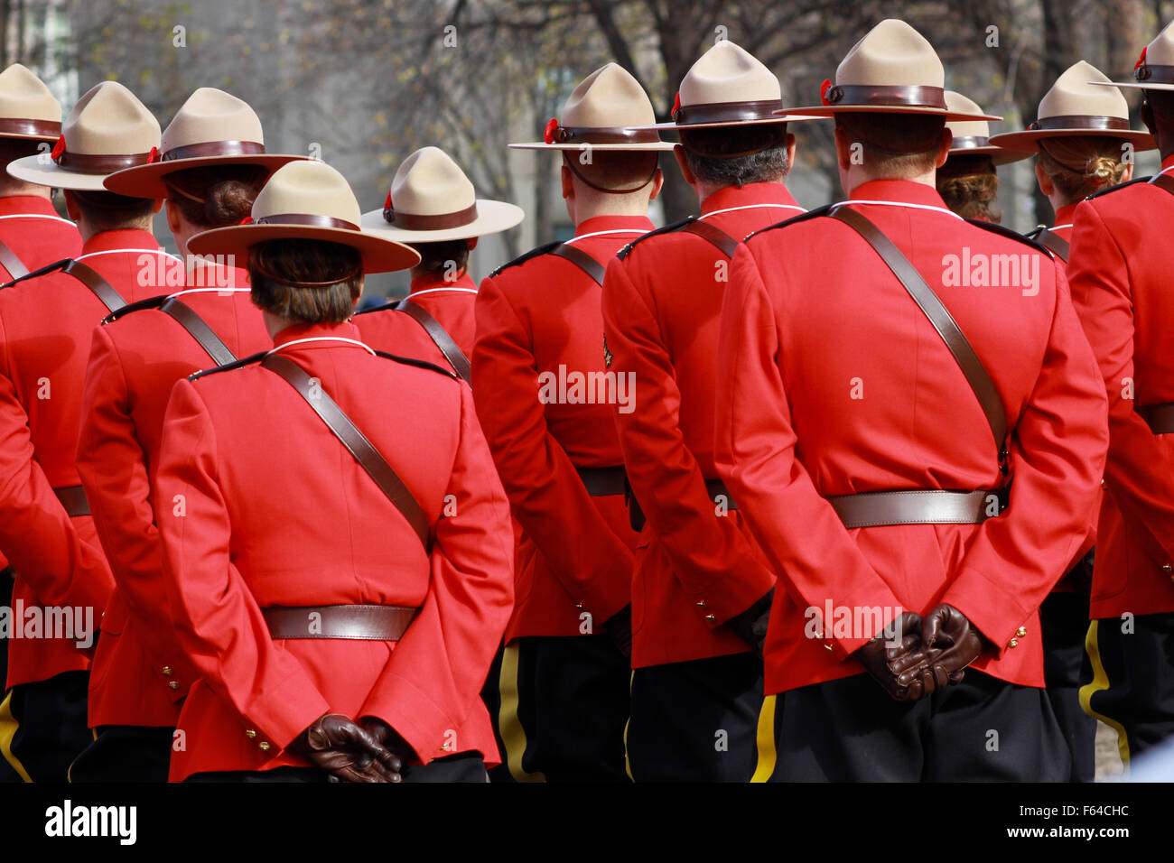 Montreal, Canada. 11th Nov, 2015. Remembrance Day celebrations at McGill University in Montreal, Que., Nov. 11, 2015. Credit:  Lee Brown/Alamy Live News Stock Photo