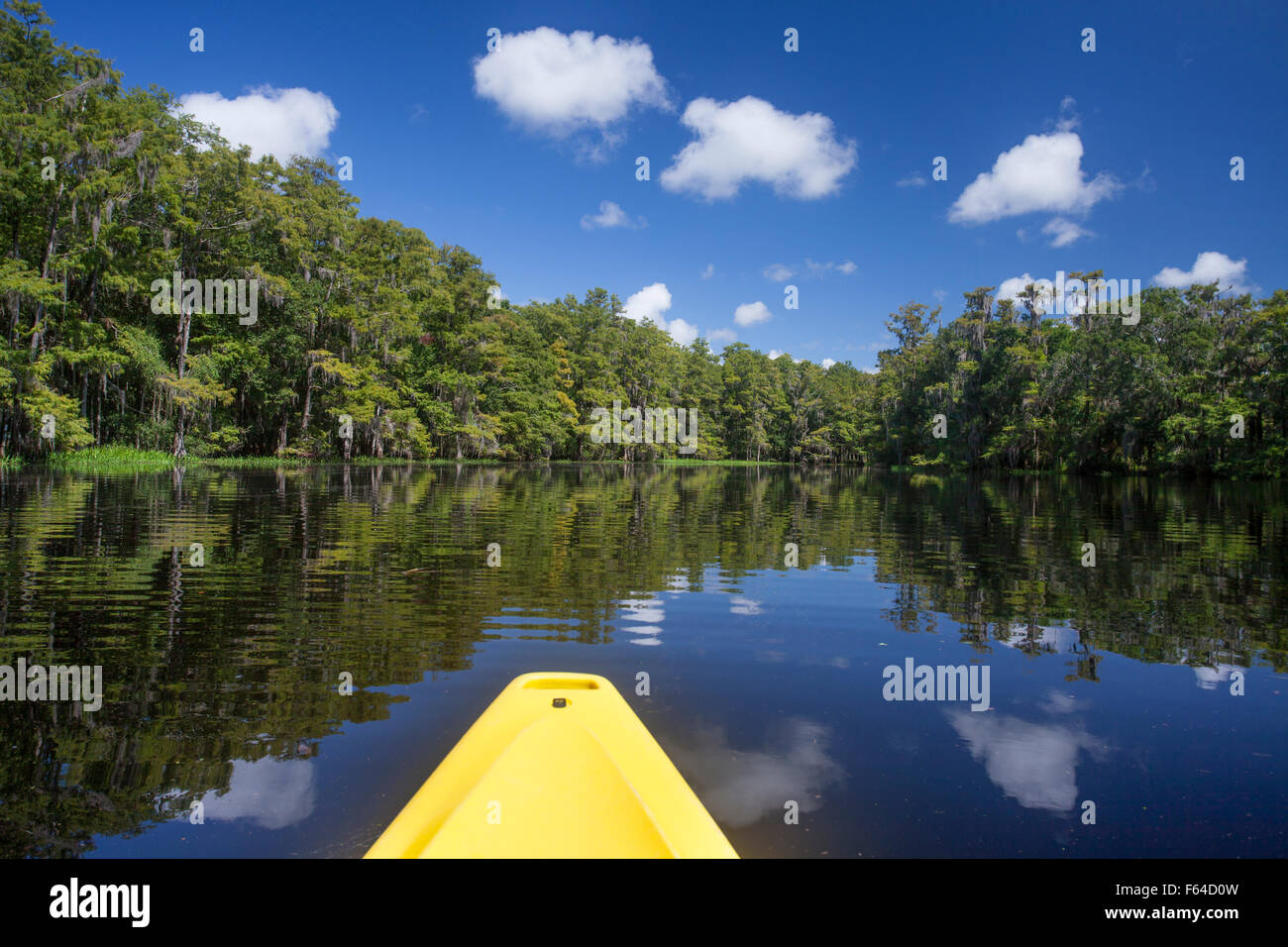 Fish-eating Creek in summer with kayak, Florida, USA. Stock Photo