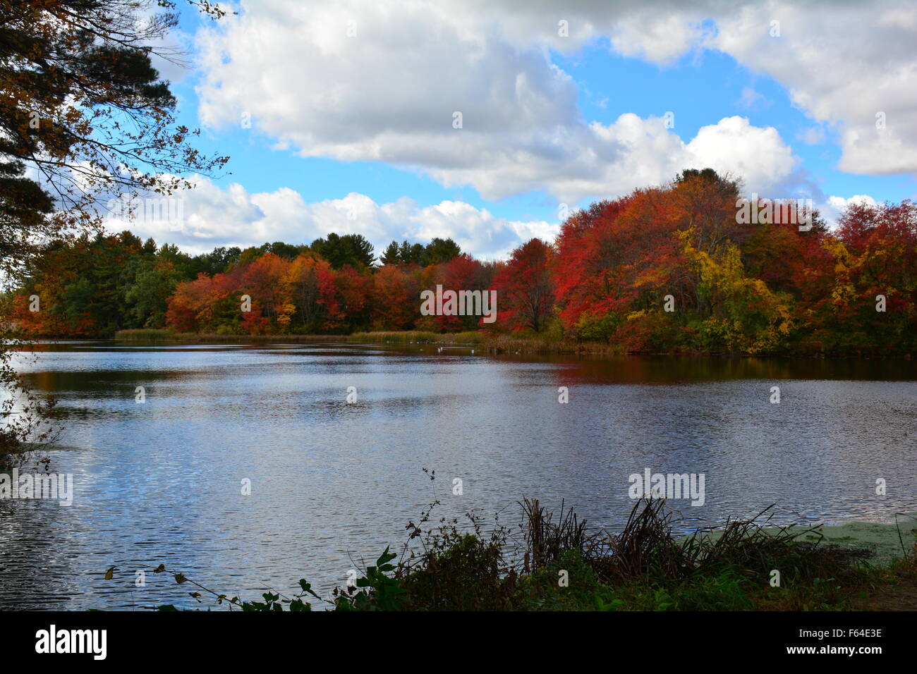 Fall Foliage in New England Stock Photo