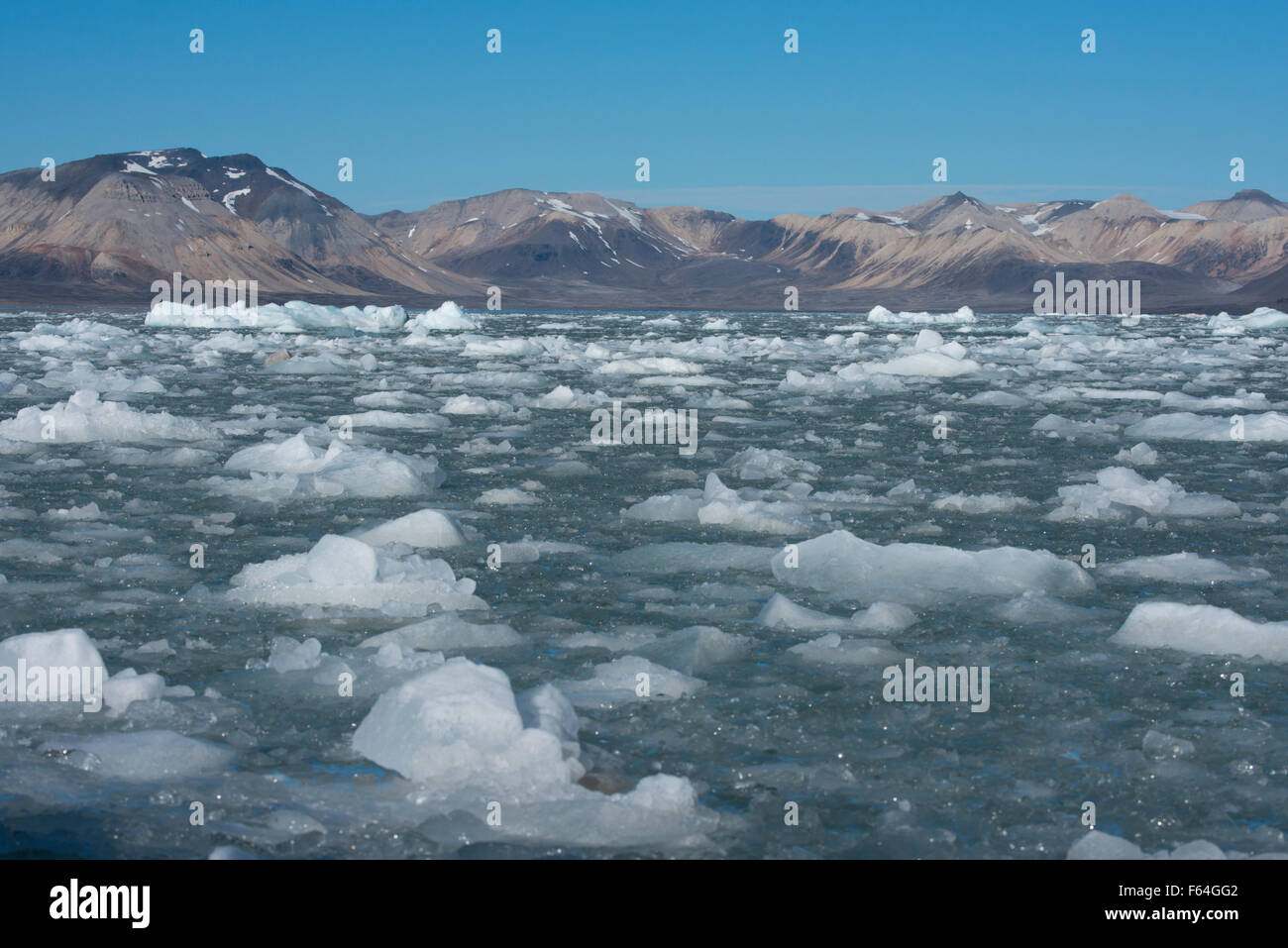 Norway, Barents Sea, Svalbard, Spitsbergen, 14th July Glacier (79° 07' 33' N - 11° 48' 05' E) Ice filled bay. Stock Photo