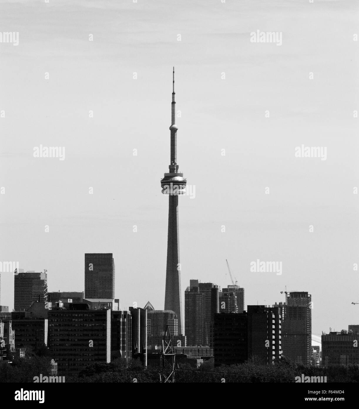 Beautiful black and white like old skyline of Toronto Stock Photo