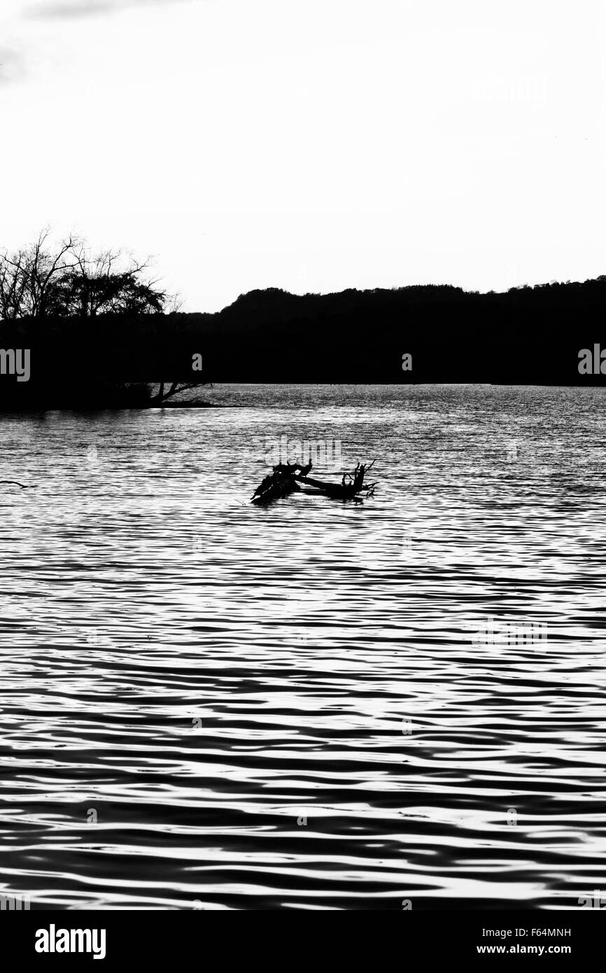 Beautiful landscape lake river in Black and White Stock Photos & Images ...