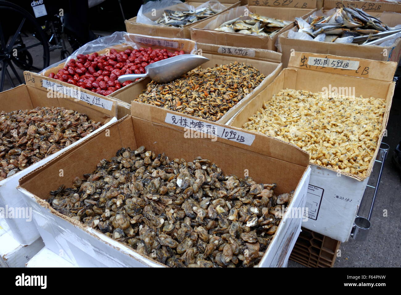 Dried seafood sold in Chinatown, NYC Stock Photo Alamy