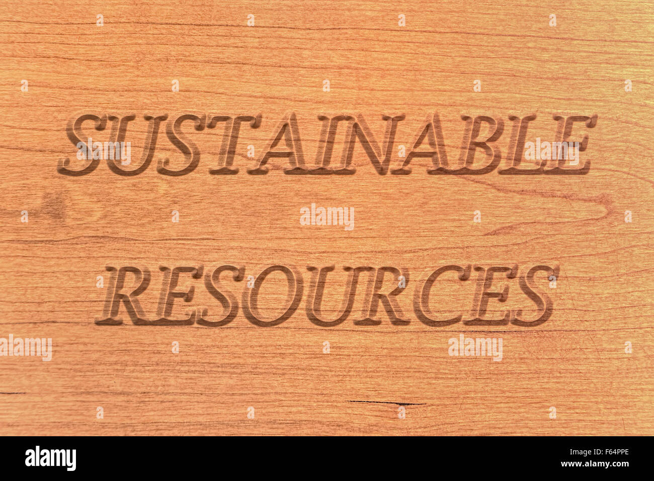 Sustainable resources, wooden natural sign or emblem, background. Stock Photo