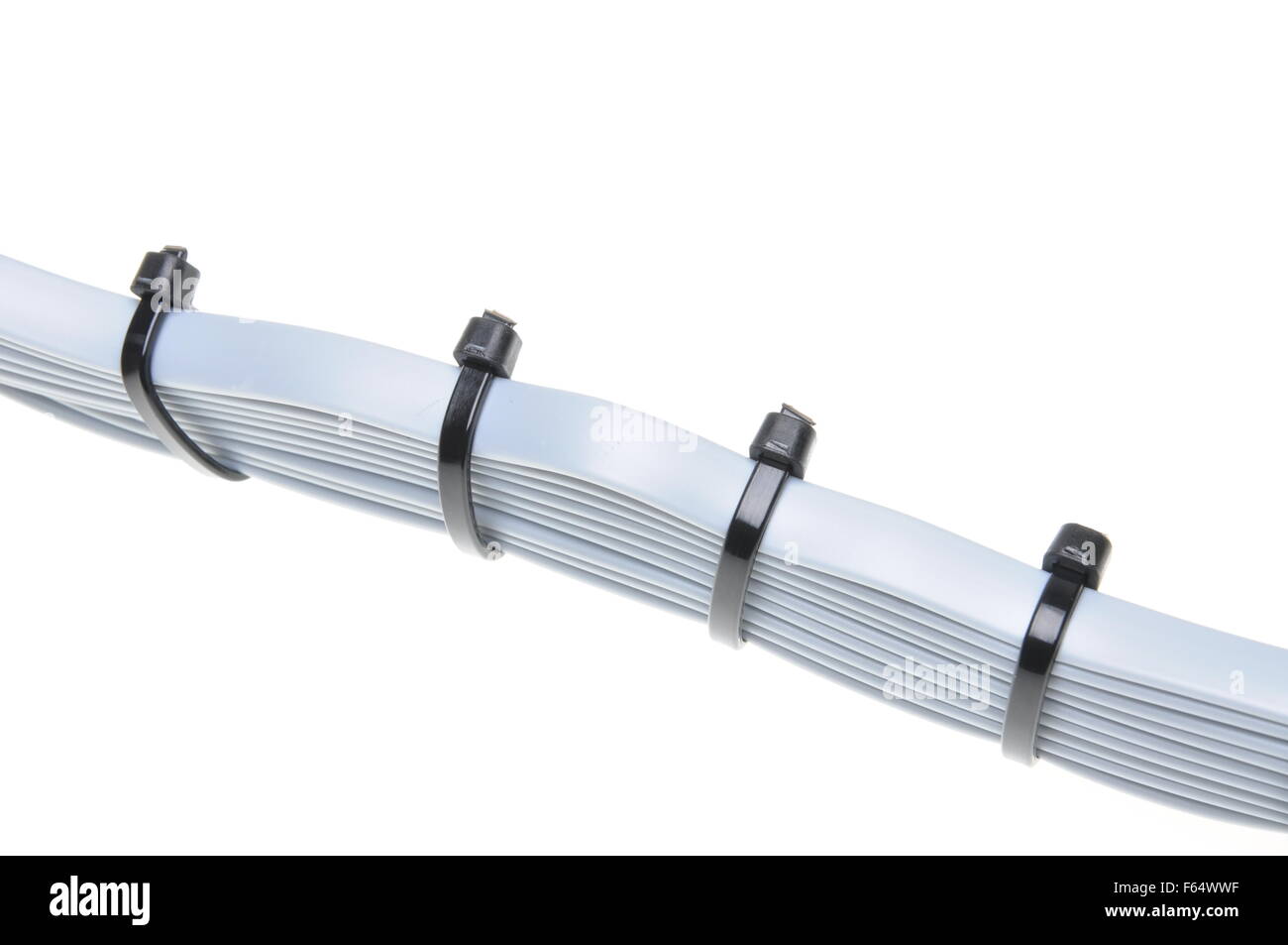 Computer network cables with cable ties isolated on white background Stock Photo Alamy