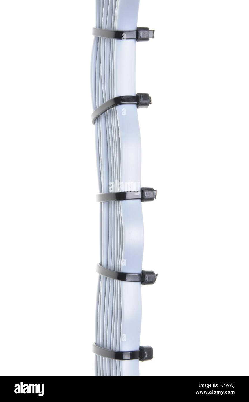 Computer network cables with cable ties isolated on white background Stock Photo Alamy