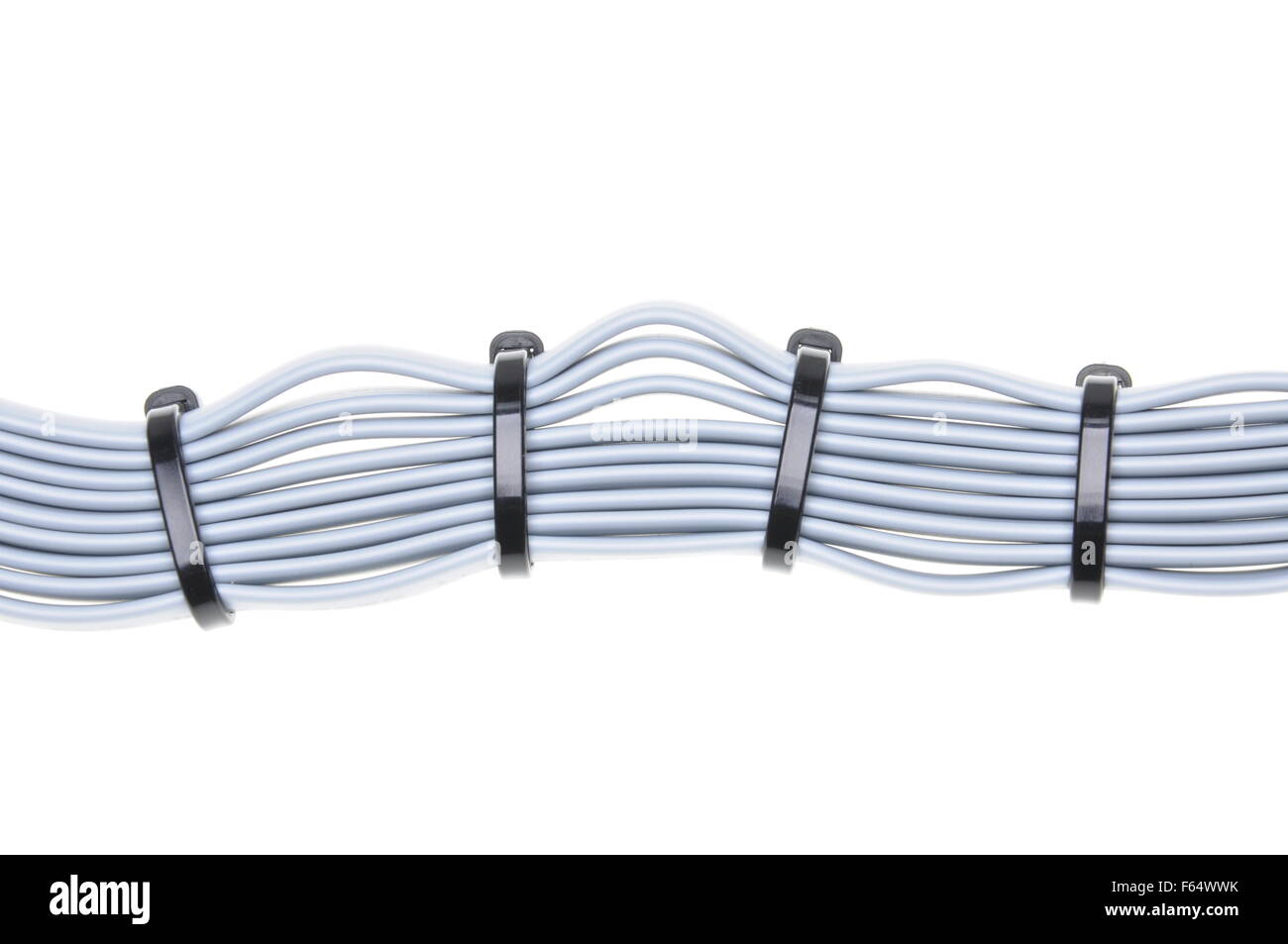 Computer network cables with cable ties isolated on white background Stock Photo Alamy