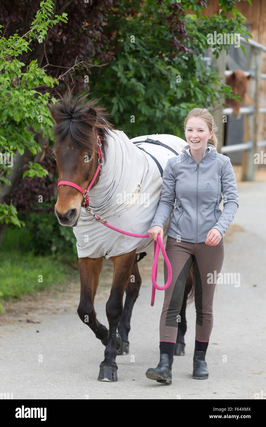 Girl leading a bay Freiberger Horse wearing a sweet itch blanket