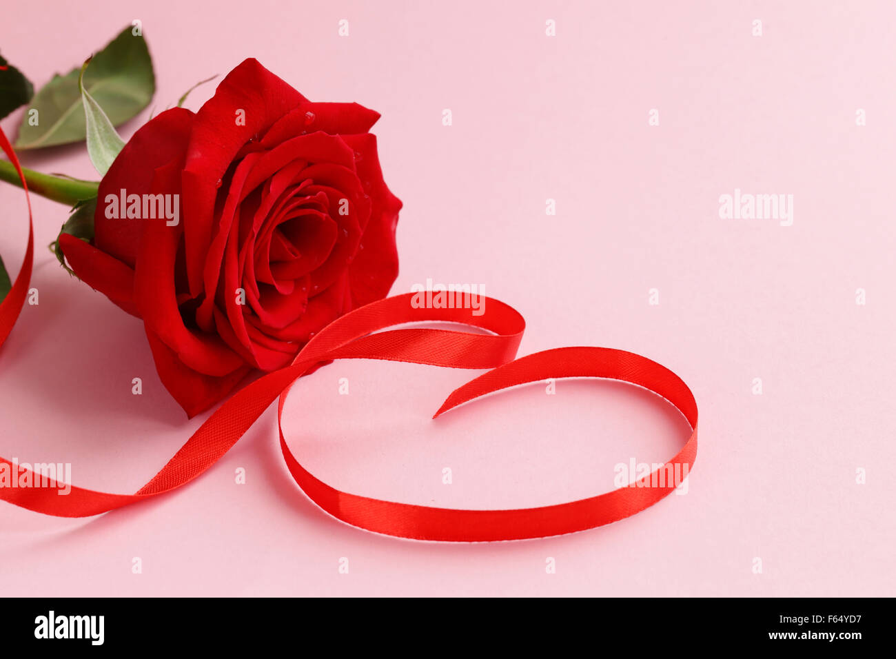 red rose flower with a ribbon in the form of heart Stock Photo - Alamy