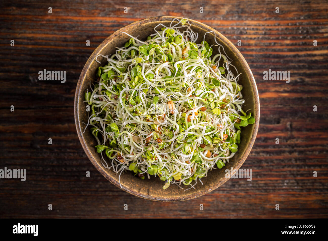 Top view of fresh sprouts in bowl Stock Photo